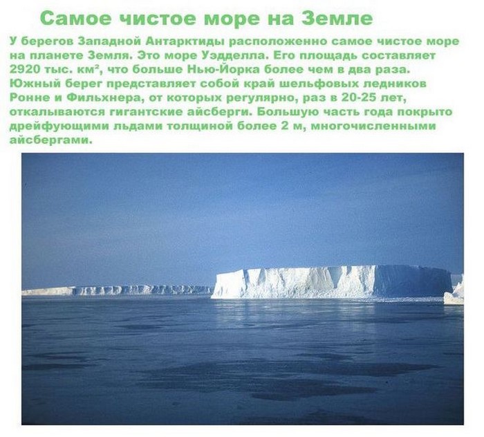 ТОП 10 интересных фактов об Антарктиде
