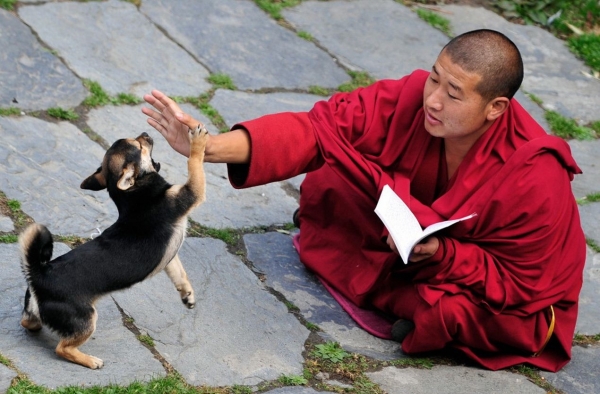 10 советов от шаолиньского монаха о том, как оставаться всегда молодым

