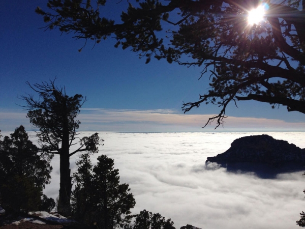 Раз в 10 лет туман заполняет Гранд-Каньон (13 фото)
