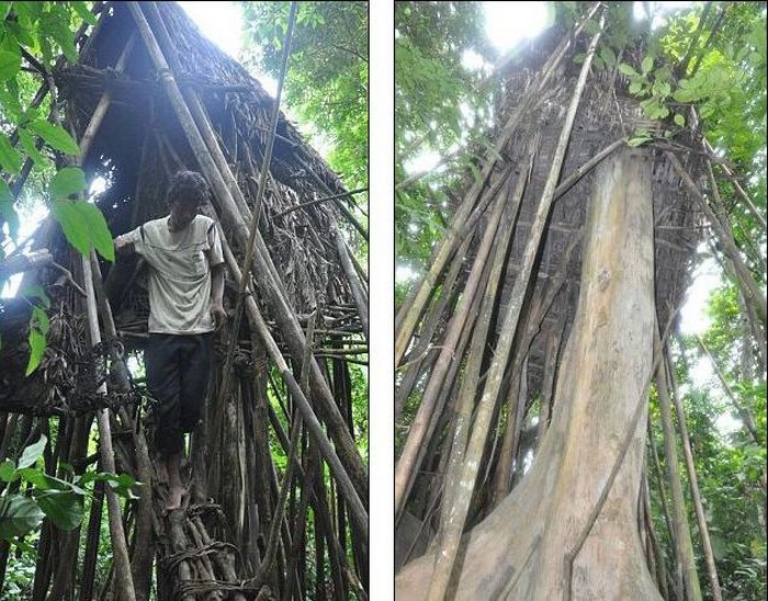 В джунглях Вьетнама нашли двух маугли
