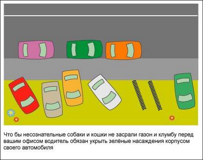 Правила дорожного движения в Москве (14 фото)
