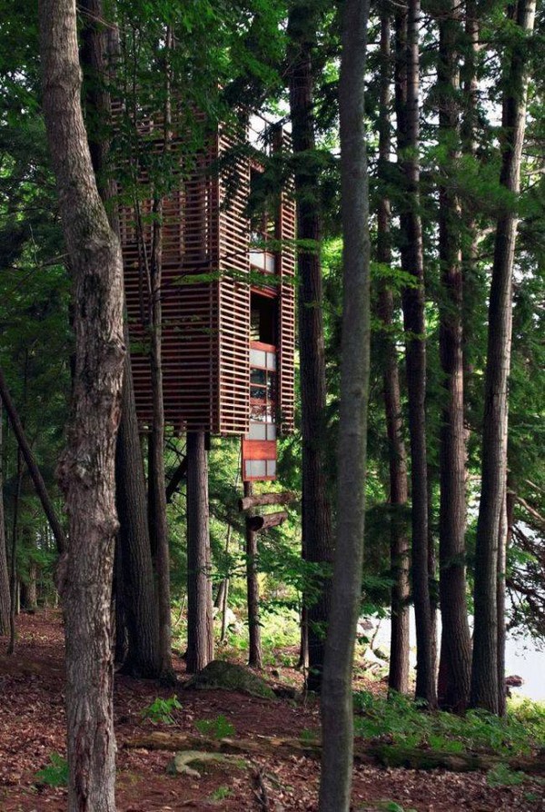 Дома на деревьях (17 фото)
