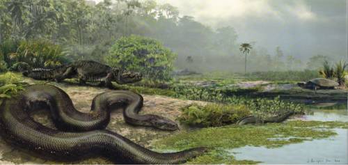 Гигантский монстр - змея Титанобоа (7 фото + видео)

