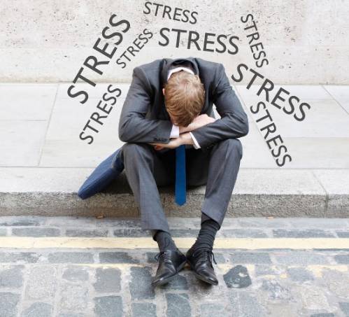 Интересные факты о стрессе плюс 10 способов как с ним бороться
