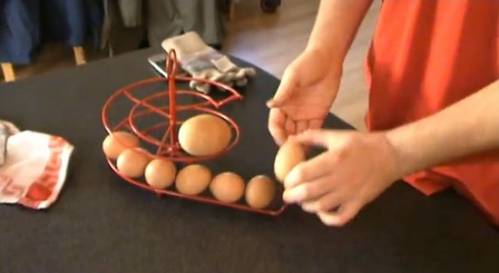 Курица снесла британцу яйцо-матрешку (фото + видео)
