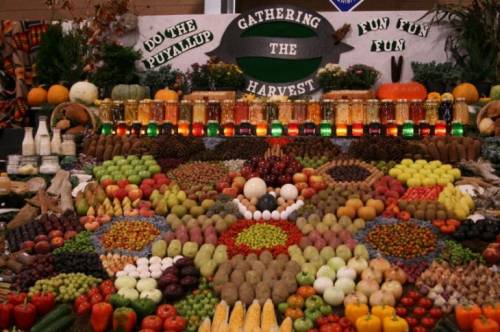 Красочные овощные мозаики на выставках и ярмарках
