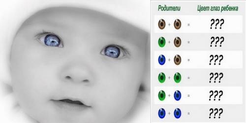 Какого цвета будут глаза у ребёнка?
