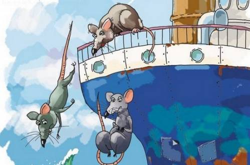 Почему крысы первыми бегут с корабля?
