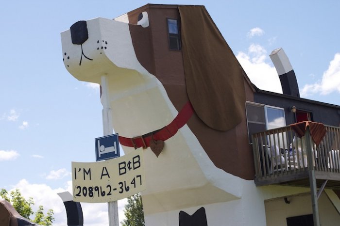 Отель в форме собаки в США