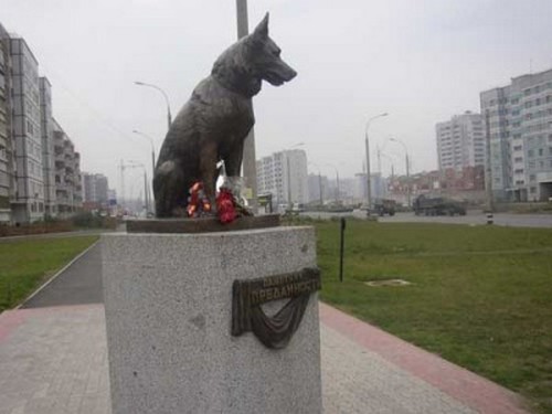 Семь лет пес ждал своих погибших в автокатастрофе хозяев на улице города
