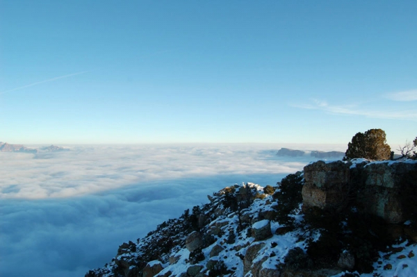 Раз в 10 лет туман заполняет Гранд-Каньон (13 фото)
