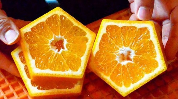 Пятиугольные апельсины от японского фермера
