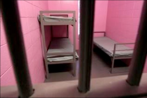 Розовая тюрьма в штате Джорджия (фото +видео)
