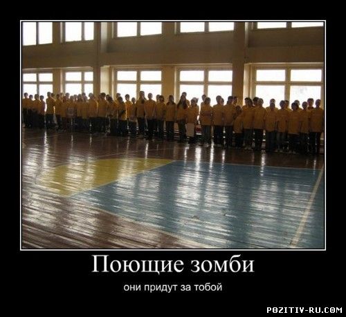 Школота Российская
