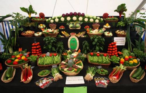 Красочные овощные мозаики на выставках и ярмарках
