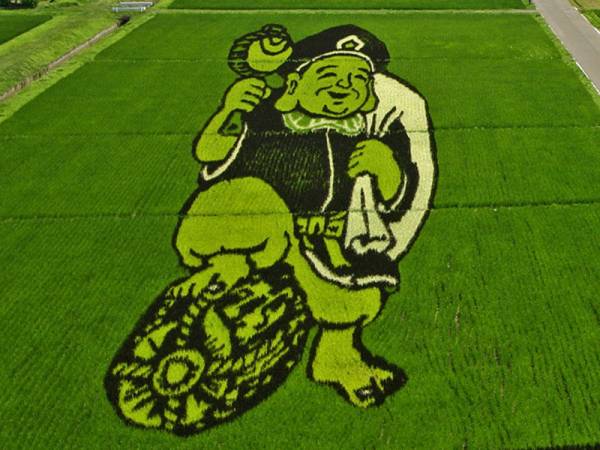 Огромные живые картины «растут» на рисовых полях в Японии ( 10 фото )
