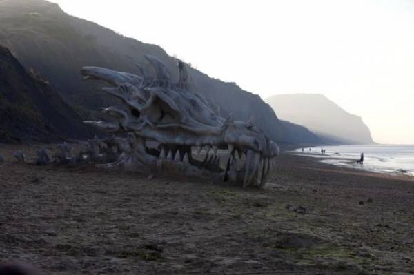 Череп дракона на побережье Великобритании
