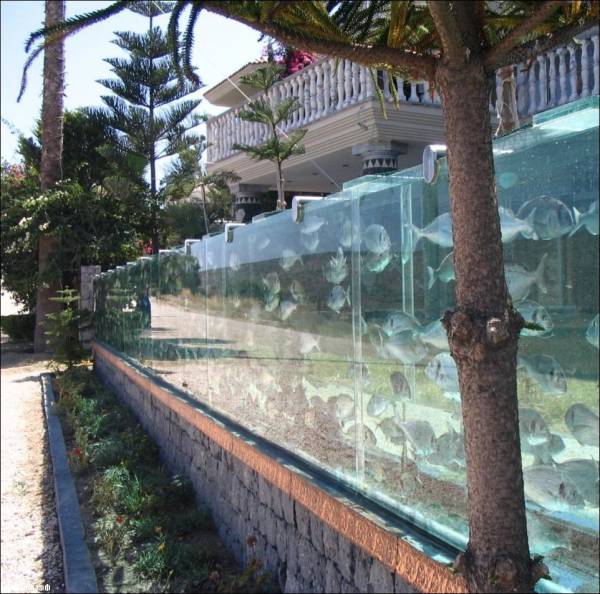 Житель Турции построил возле своего дома забор-аквариум
