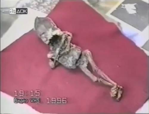 Инопланетные тела, всё чаще находят на территории России (фото+видео)
