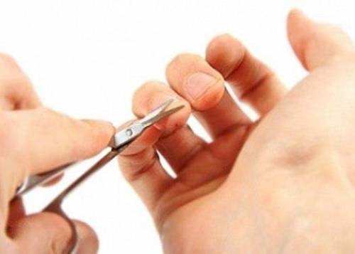Когда и как правильно стричь ногти

