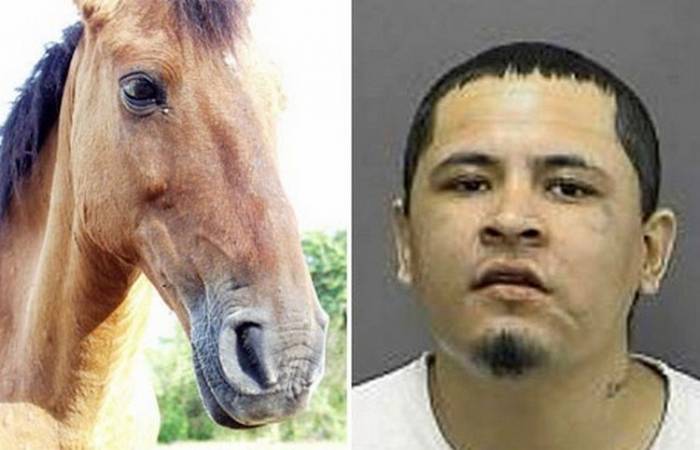 Житель Техаса совокупился с лошадью, чтобы зачать кентавра (3 фото)
