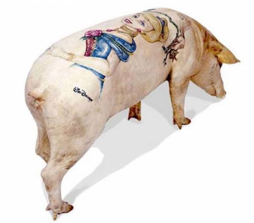 Учимся искусству татуировок или свинья в законе (12 фото)
