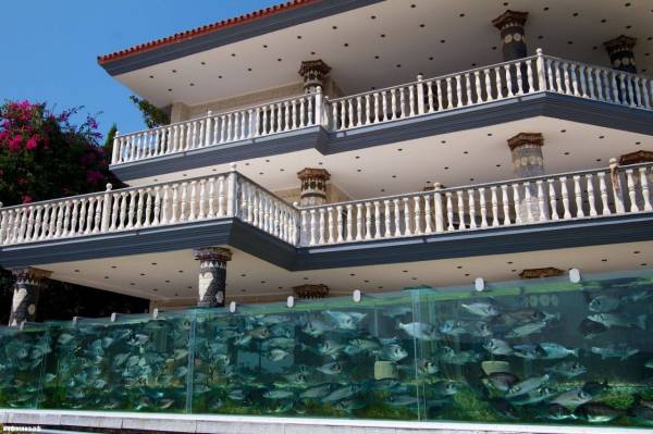 Житель Турции построил возле своего дома забор-аквариум
