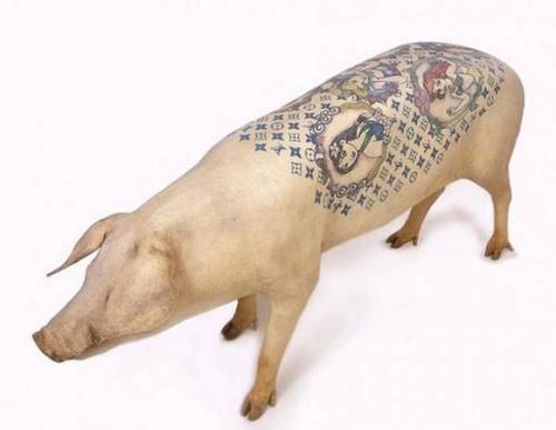 Учимся искусству татуировок или свинья в законе (12 фото)

