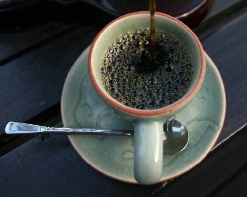 Самый дорогой в мире кофе, из какашек слонов
