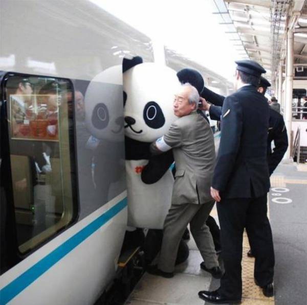 Забавные, странные и очень необычные снимки, которые были сделаны в Японии

