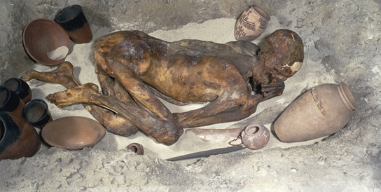 Интересные факты о мумиях, которые вы не слышали раньше